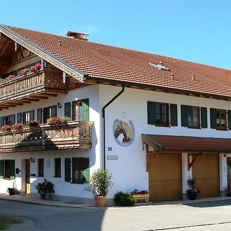 Ferienwohnung Erhard Schonberg  Luaran gambar